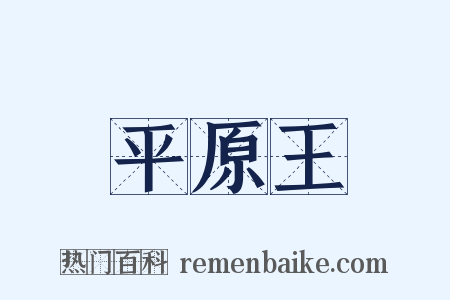 平原王是什么意思的图片